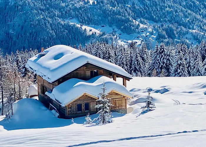 Paradis Perdu In & Quiet 14 Personnes Chalet