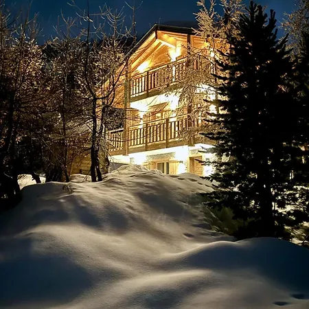 Alpehytte Paradis Perdu In & Quiet 14 Personnes